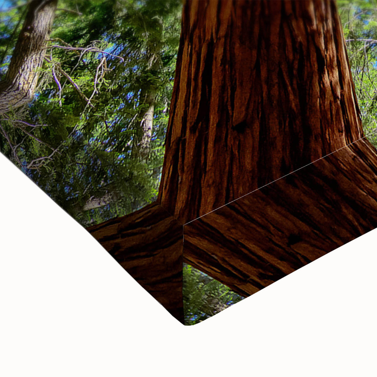 Black and white landscape art painting of California's sequoia trees on large stretched canvas, suitable for bedroom decor.