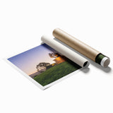 Extra large rolled print featuring a serene Sonoma, California landscape with vibrant floral elements.