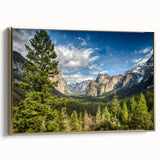 Framed canvas depicting Yosemite landscape in muted gold and black tones, suitable for bedroom wall art.
