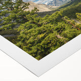 Art deco poster of Yosemite scene in muted earth tones on rolled canvas, suitable for dining room wall art.