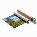 Yosemite National Park scenery on a large rolled print with lush green and rocky textures.