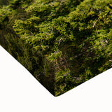 Large black and white landscape art painting of Yosemite on stretched canvas, suitable for bedroom wall decor.