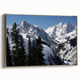 Framed canvas wall art depicting a serene Aspen, Colorado landscape in muted gold and black tones, ideal for bedroom decor.