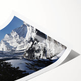 Extra large wall art featuring line art flowers, set in Aspen, Colorado scenery on a rolled print.