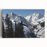 Black and white photograph of Aspen trees on stretched canvas, ideal for kitchen wall art.