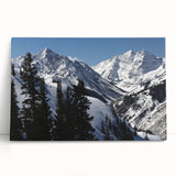 Black and white photo of Aspen trees on stretched canvas, ideal for kitchen wall art or bedroom ambiance.