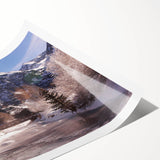 Extra large wall art featuring line art flowers and floral designs in pastel shades, ideal for large living room wall decor.