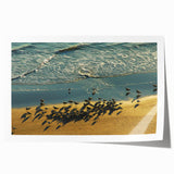 Rolled print of Daytona scenery with vibrant floral elements, ideal for art wall dining room or classy bathroom decor.