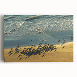 Black and white stretched canvas featuring Daytona Beach scenery, ideal for kitchen wall art.
