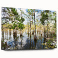Acrylic glass print of the Everglades with green and blue tones, suited for bedroom or dining room decor.