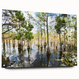 Acrylic glass print of the Everglades with green and blue tones, suited for bedroom or dining room decor.