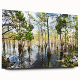 Large abstract depiction of the Everglades in muted green and blue hues on an acrylic glass.