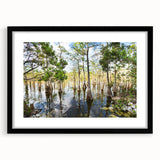 Abstract art print of the Everglades in vibrant, colorful hues on a textured, extra large canvas, framed in black.