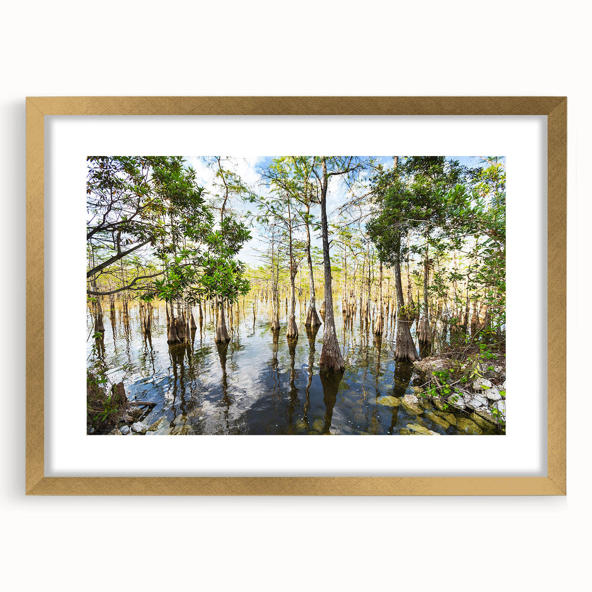 Extra large framed wall art featuring an abstract depiction of the Everglades in textured greens and blues.