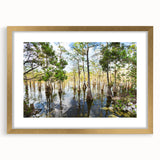 Extra large framed wall art featuring an abstract depiction of the Everglades in textured greens and blues.