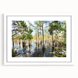 Abstract art print of the Everglades in muted green and blue tones, framed with a white mat.