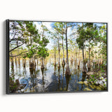 Black and white framed canvas of Everglades landscape, ideal for bedroom wall art in vintage poster style.