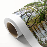 Art Deco style poster of the USA Everglades in muted green and blue tones on rolled canvas, ideal for nursery wall art.