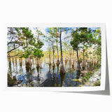 Everglades scenery on a rolled canvas print featuring lush greenery and water, ideal for art wall dining room.