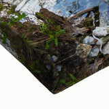 Black and white landscape art painting of the Everglades on a stretched canvas, suitable for bedroom decor.