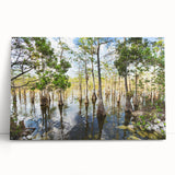 Black and white photograph of Everglades scenery on stretched canvas, suitable as kitchen wall art or bedroom decor.