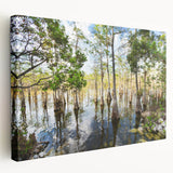 Stretched canvas depicting the Everglades in natural green tones, suitable for kitchen wall art.