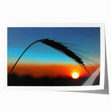 Rolled print of a Kansas landscape with vibrant green fields under a clear blue sky, suitable as art wall for dining room.