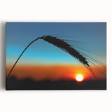 Black and white stretched canvas of Kansas scenery, ideal for kitchen wall art.