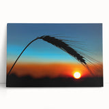 Black and white photo of Kansas scenery on a large stretched canvas, ideal for kitchen wall art or bedroom decor.