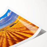 Extra large rolled print featuring line art flowers in muted earth tones, ideal for large living room wall decor.