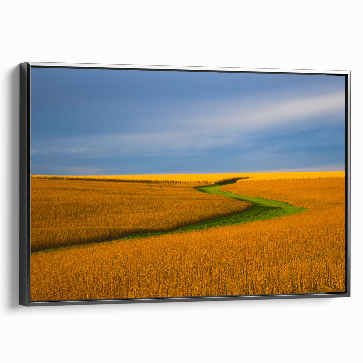 Black and white framed canvas of a Nebraska landscape, ideal for bedroom wall art.