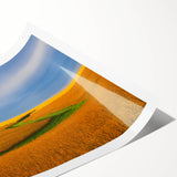 Extra large rolled print of line art flowers in black and white, ideal for large living room wall art.