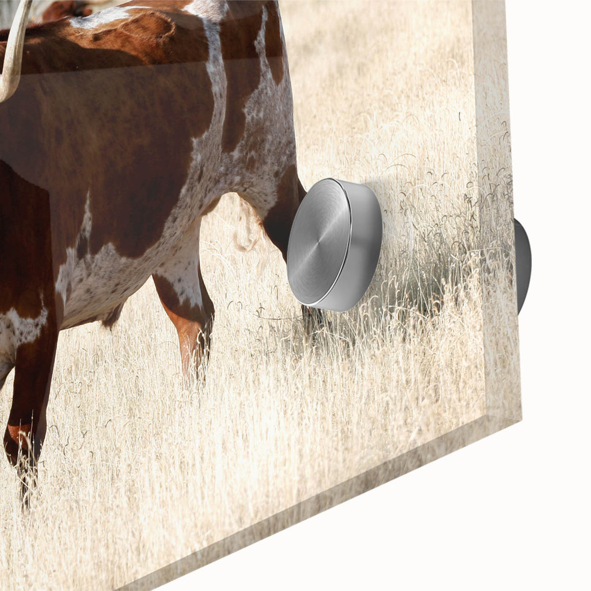 Large abstract wall art depicting New Mexico scenery in mid-century modernist style on acrylic glass.