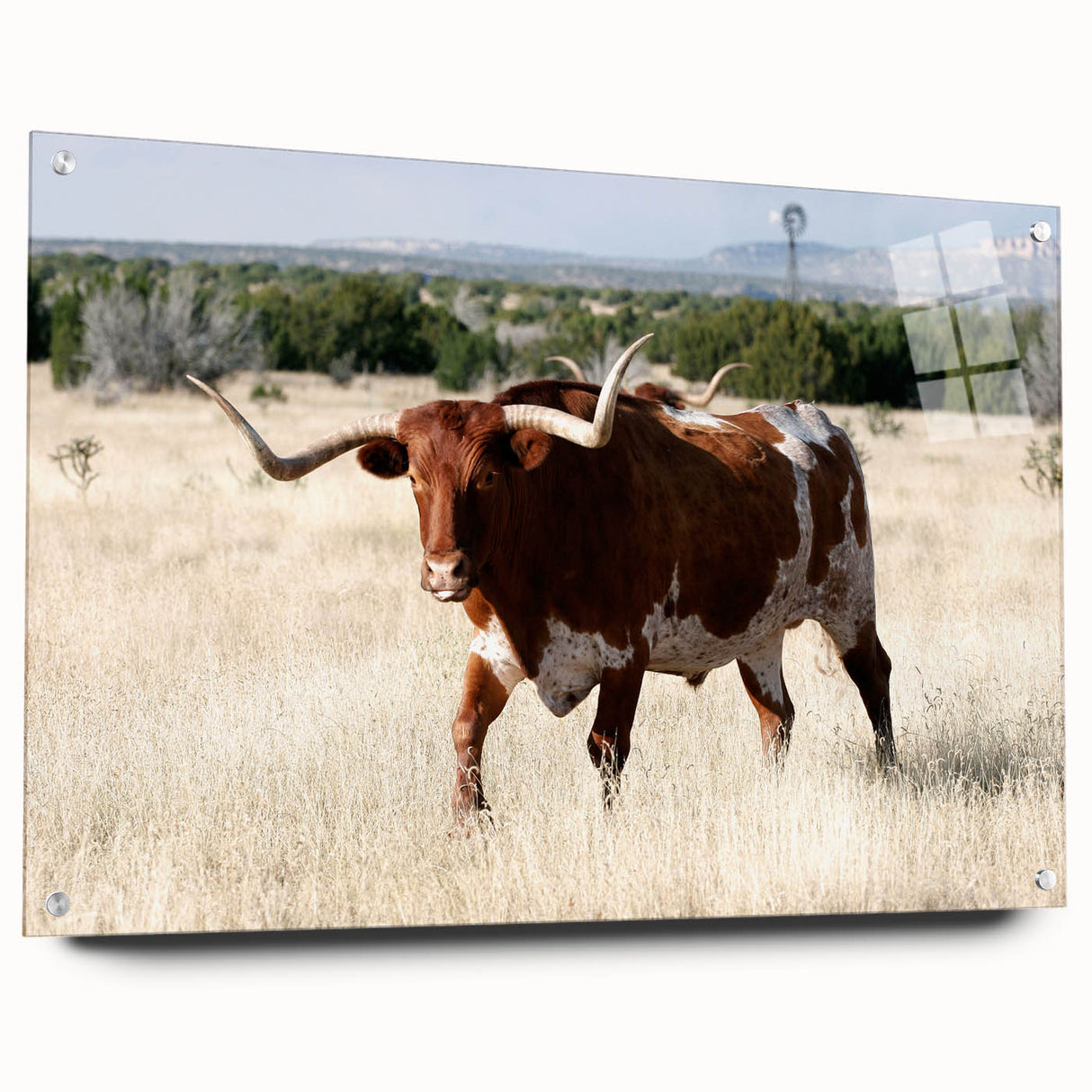 Acrylic print of a New Mexico landscape in muted earth tones, suitable for dining room decor.