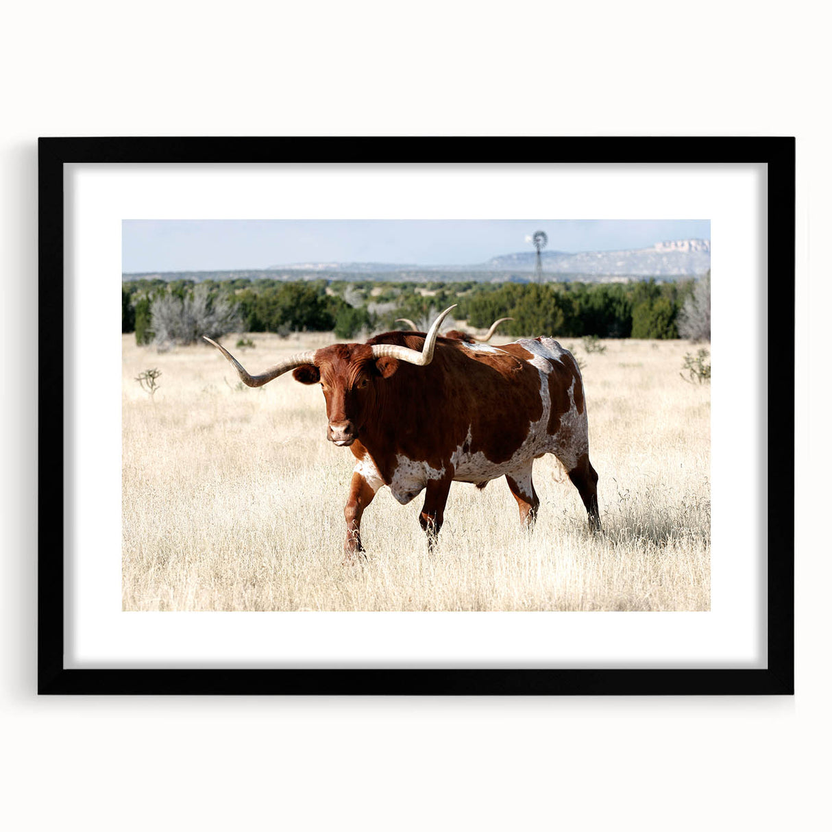 Extra large framed wall art depicting a textured abstract scene with vibrant colors.