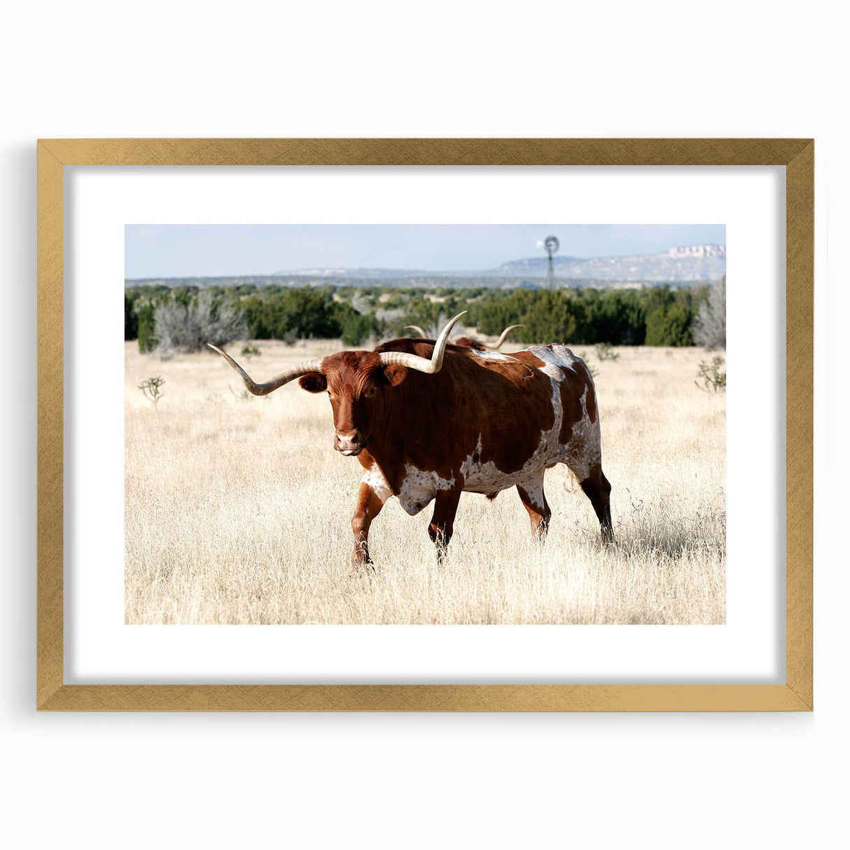 Extra large abstract art print of a textured New Mexico scenery in a gold frame, ideal for living room decor.