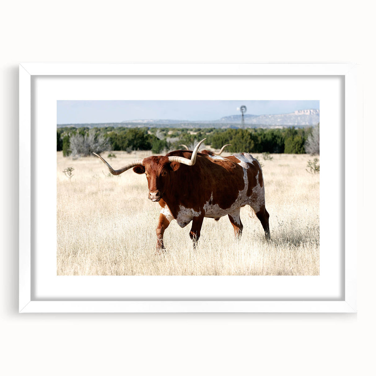 Abstract art print of New Mexico scenery in muted earth tones, framed with a white mat.