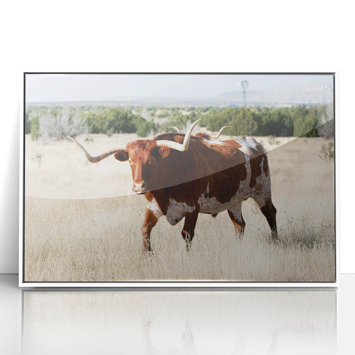 Modern art wall decor featuring a New Mexico landscape in pastel shades on a framed acrylic print.