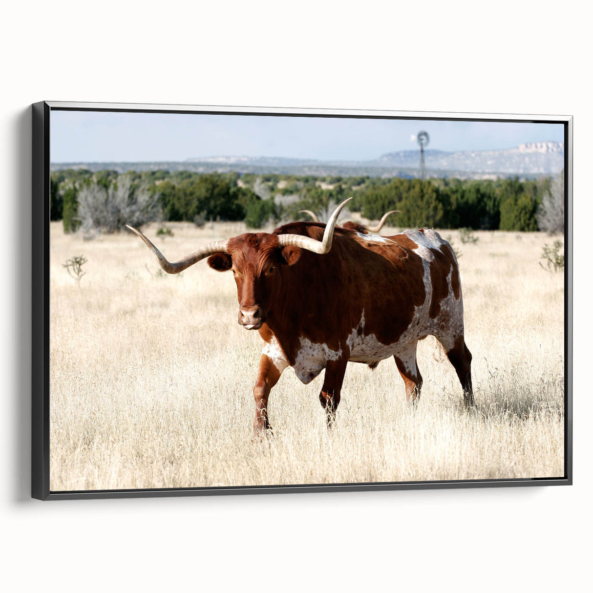 Black and white landscape art painting of New Mexico on framed canvas, ideal for bedroom wall decor.