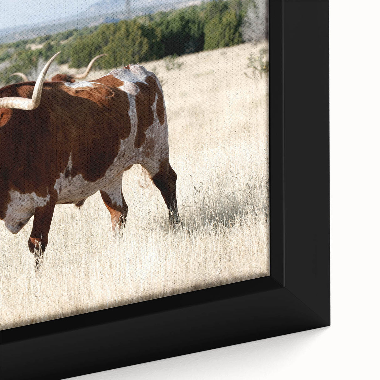 Extra large framed canvas of a textured New Mexico landscape in black with vibrant colorful accents.