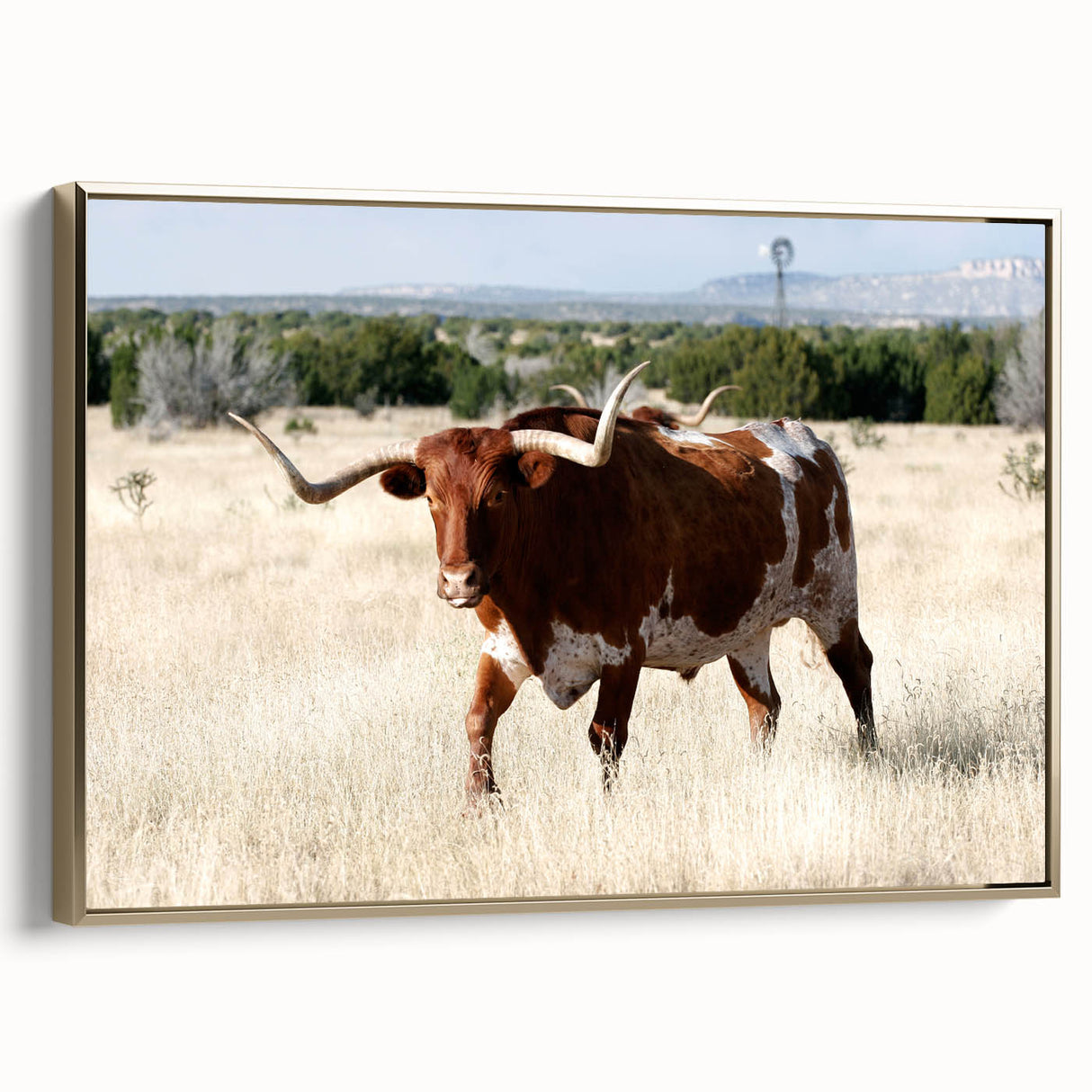 Framed canvas depicting a vintage-style New Mexico landscape in black and gold tones, ideal for bedroom wall art.