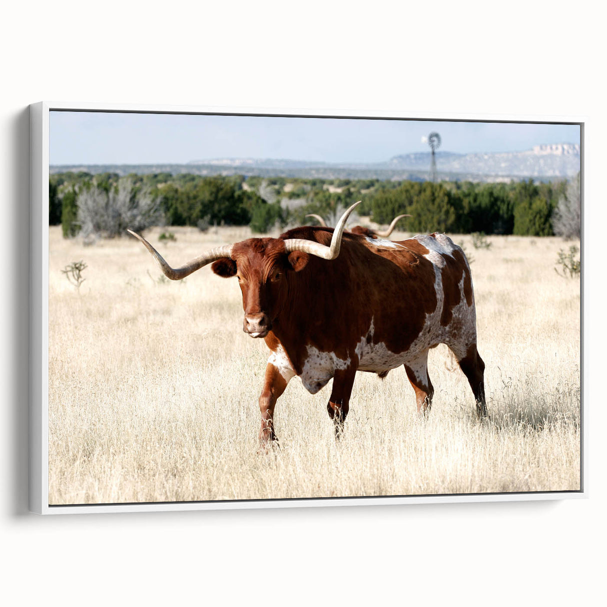 Vintage poster art of a New Mexico landscape on a framed canvas, featuring a black and colorful palette.