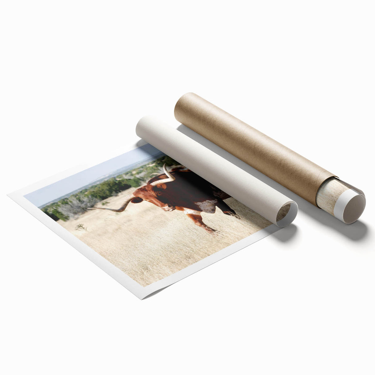Extra large rolled print featuring New Mexico scenery with muted earth tones, ideal for classy bathroom wall art.