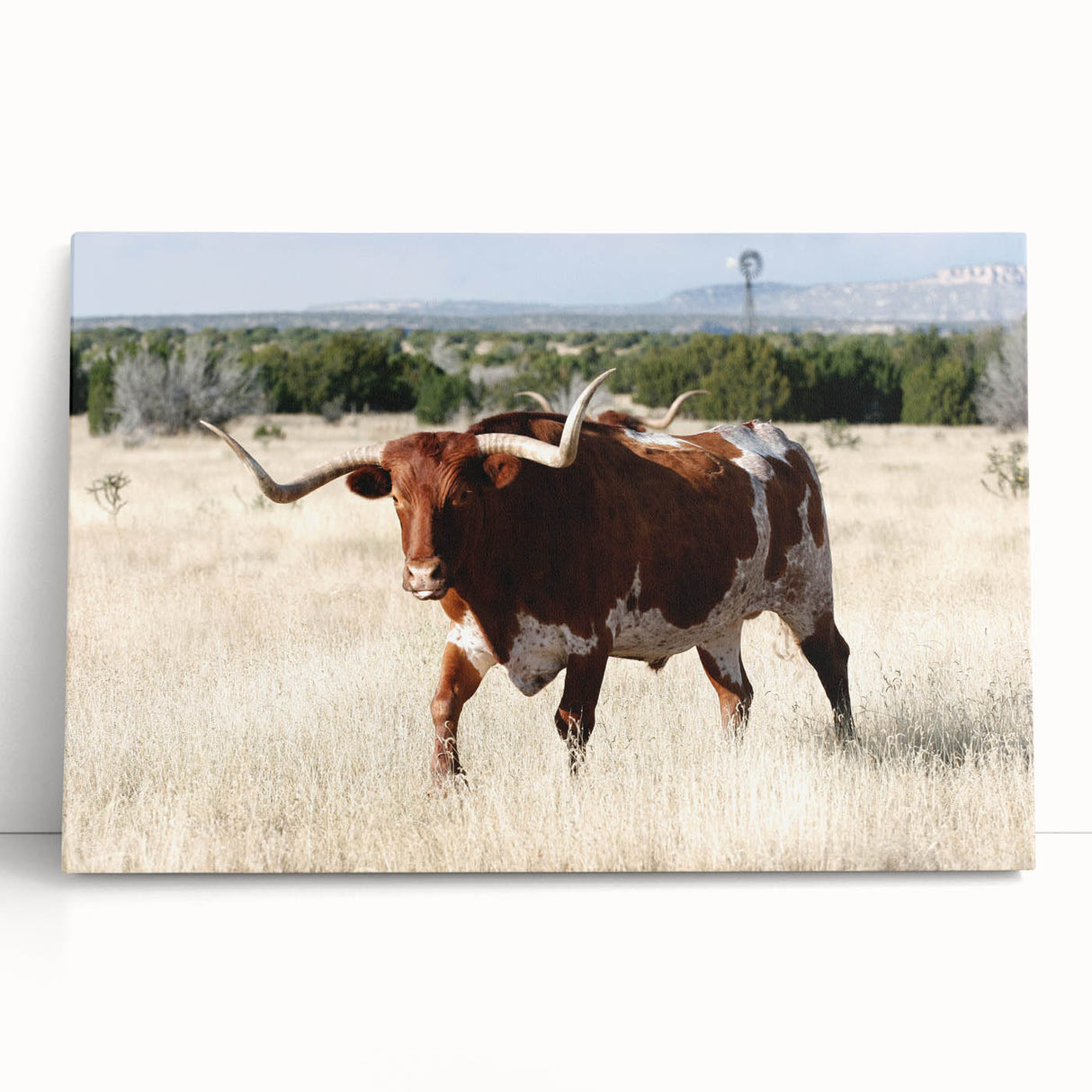 Black and white large art print of New Mexico scenery on stretched canvas, ideal for kitchen wall art or bedroom.