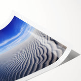 Extra large wall art depicting line art flowers in black on white, rolled print, ideal for large living room wall decor.