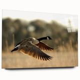 Acrylic print of Cape Hatteras, North Carolina with muted blue and gray tones, ideal for bedroom or dining room decor.