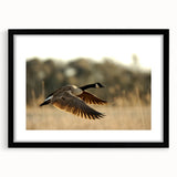 Abstract art print of Cape Hatteras with vibrant, colorful textures on a large framed canvas, suitable for living room decor.