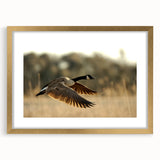 Extra large abstract art print of Cape Hatteras with textured design in gold frame, ideal for living room decor.