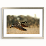 Textured art print of Cape Hatteras with abstract design in muted earth tones on a framed silver mat.