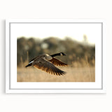 Abstract art print of Cape Hatteras with muted blue and beige tones, framed in white, suitable for dining room decor.